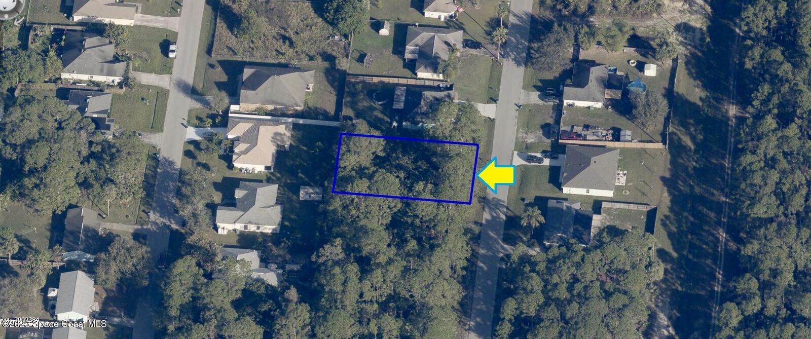 Property Photo:  558 Wildwood Avenue SW  FL 32908
