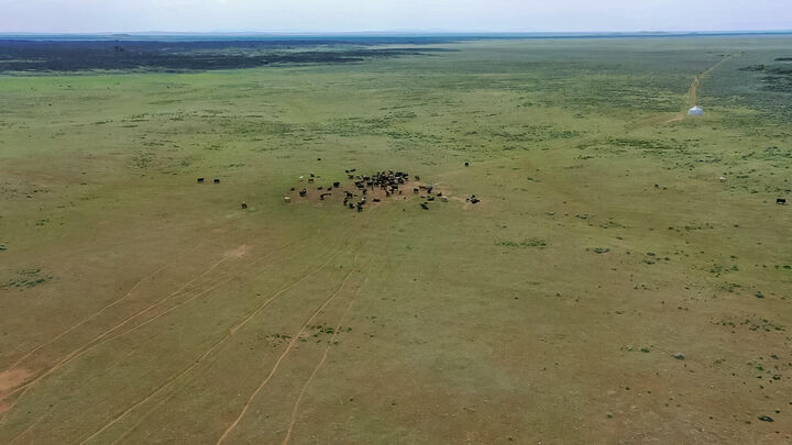 Tbd  Carey ID 83320 photo
