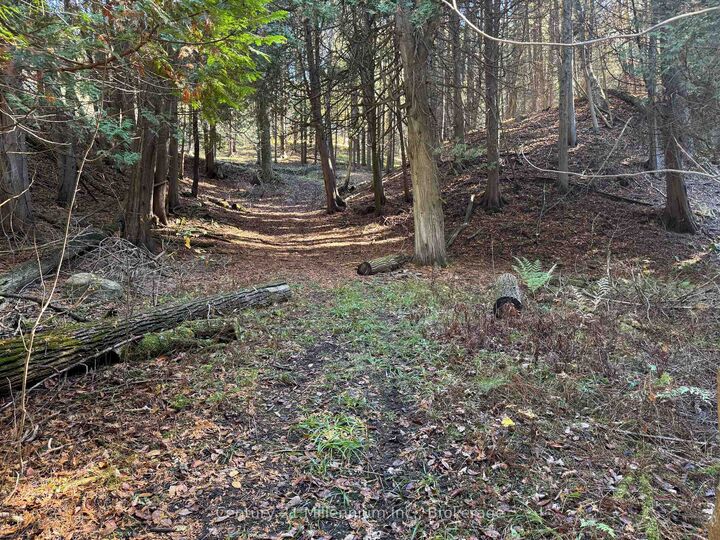 Photo de la propriété:  627383 15 Side Road  ON L0N 1M0 