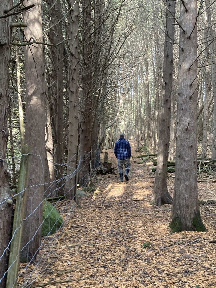 Property Photo:  323 Orange Corners Road  ON K0L 2W0 