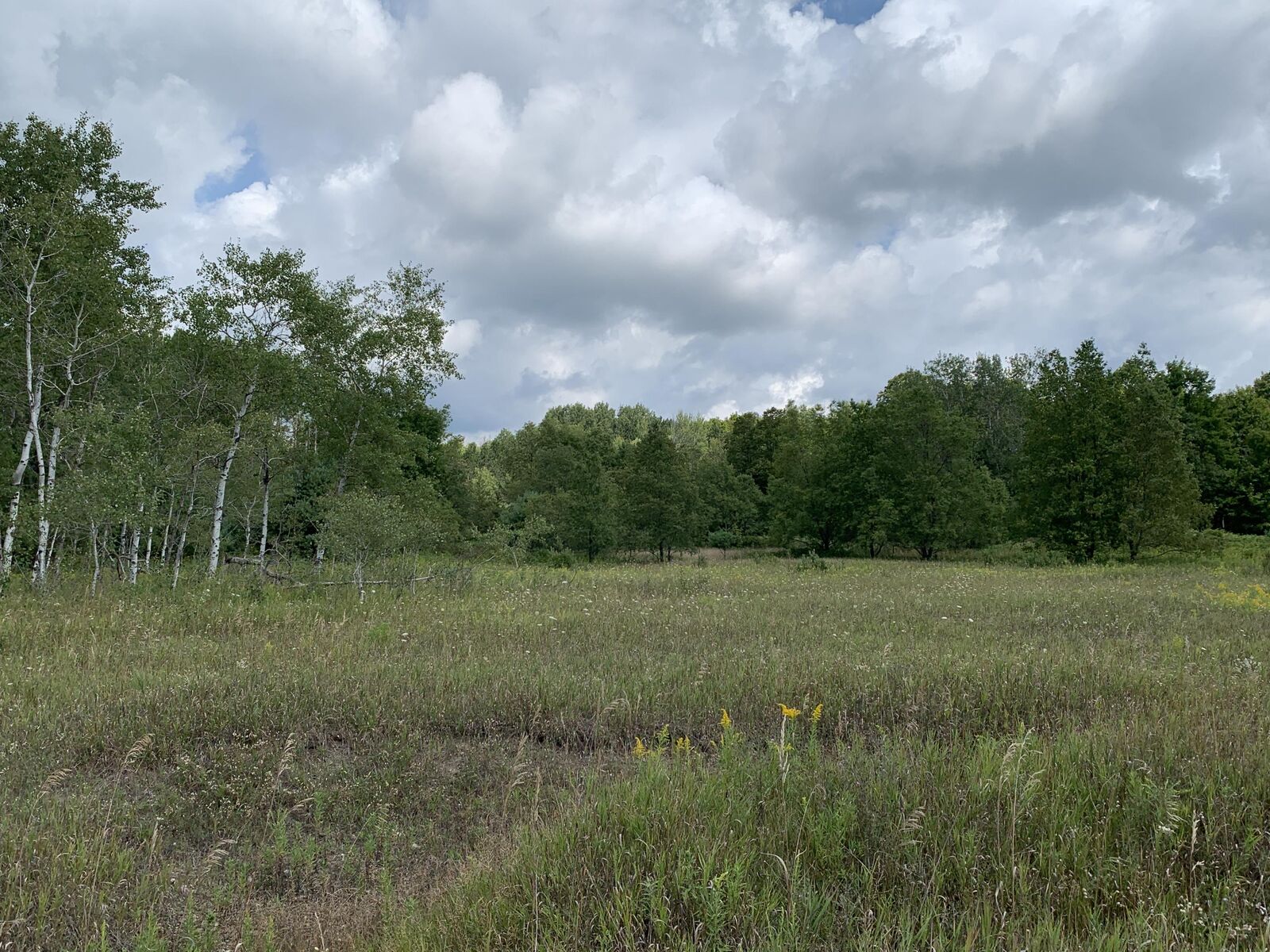 Property Photo:  V/L 0.85a Old Mackinaw Trail  MI 49713