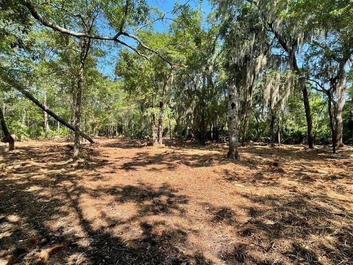 Property Photo: 2098 Friendly Road FL 32034