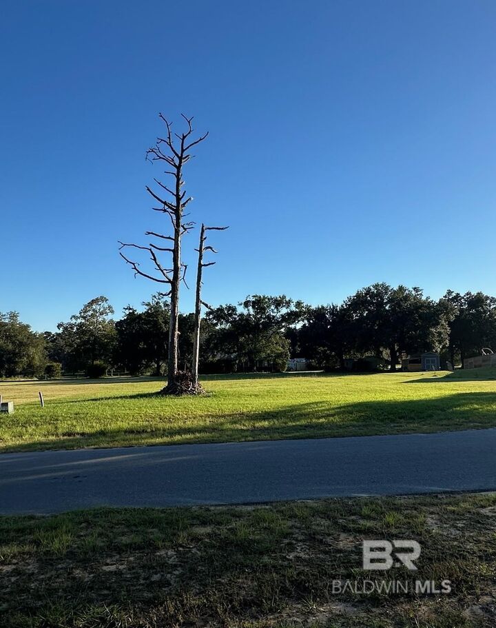 Property Photo:  0 Sparrow Road  AL 36532