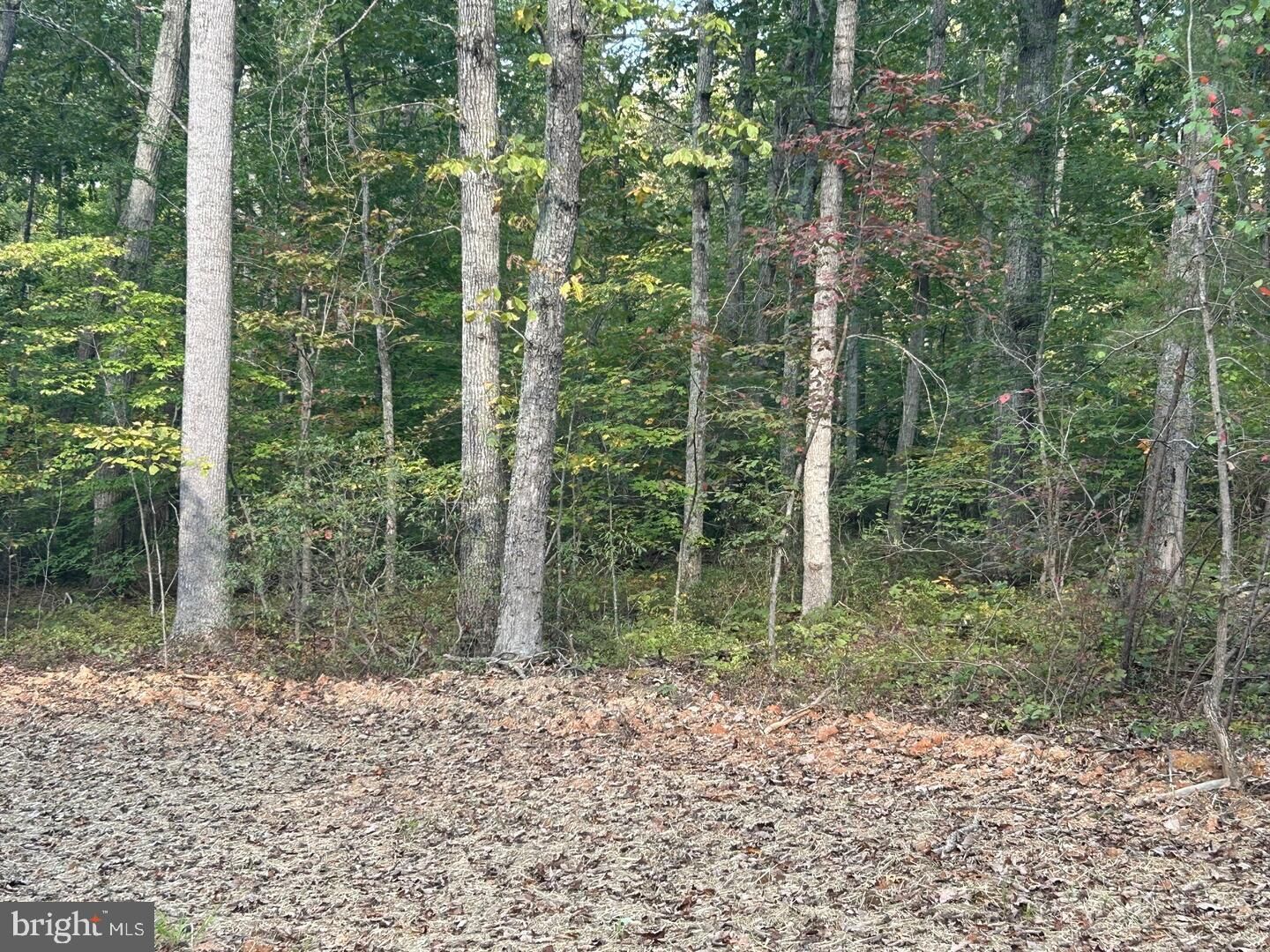 Property Photo: Parcel 18 Camden Lane VA 22718