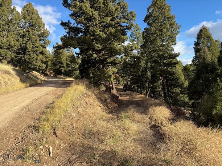Property Photo:  Lot 5 Scranton Lode  MT 59858 