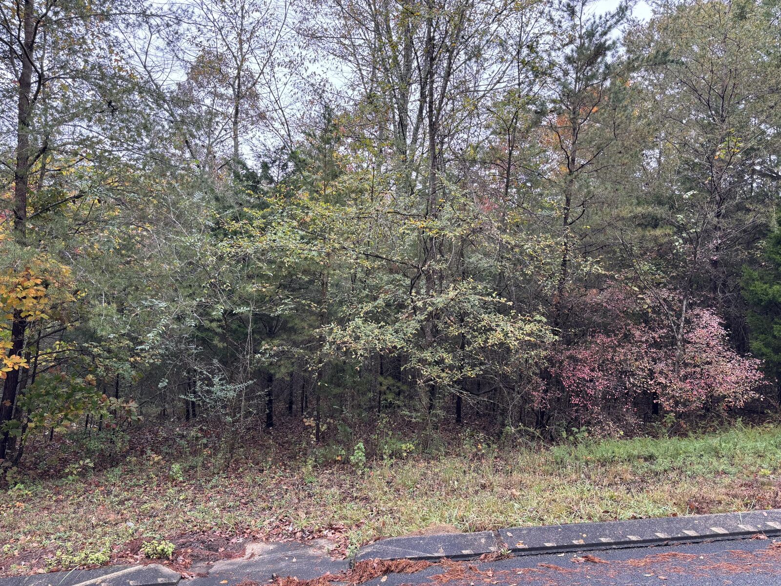 Property Photo:  3 Countryside Drive  TN 37327