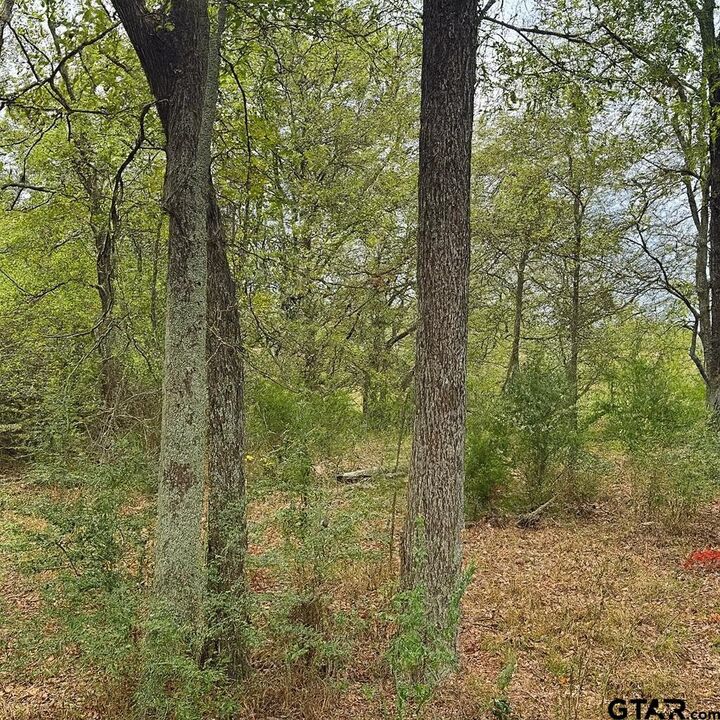 Property Photo:  Tbd 20.83 +- Vzcr 1118  TX 75140 