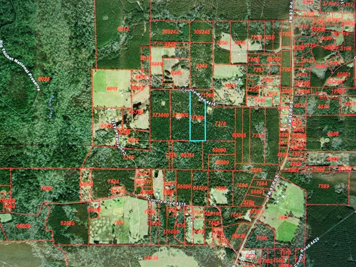 Property Photo: 795 County Road 4416 TX 75979