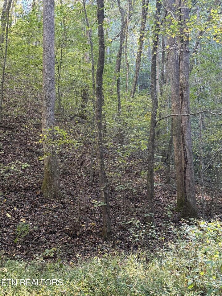 Property Photo:  251 Mine Hollow Rd  TN 37369 