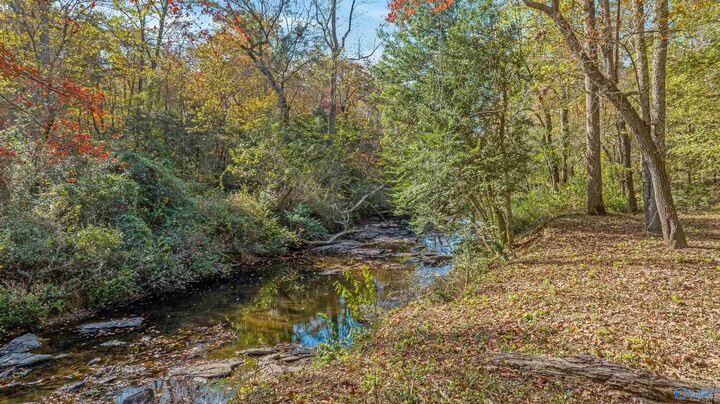 Property Photo:  1162 County Road 648  AL 35984