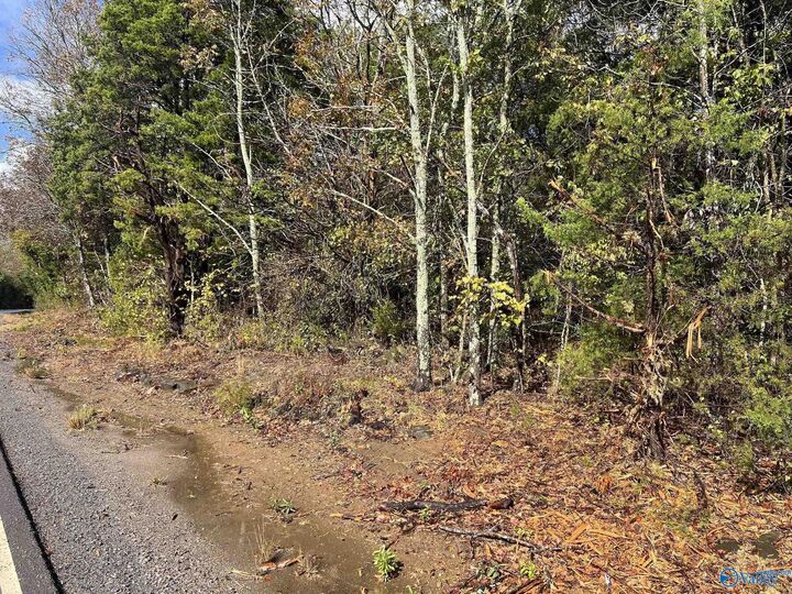 Property Photo:  450 North Cedar Cove  AL 35640