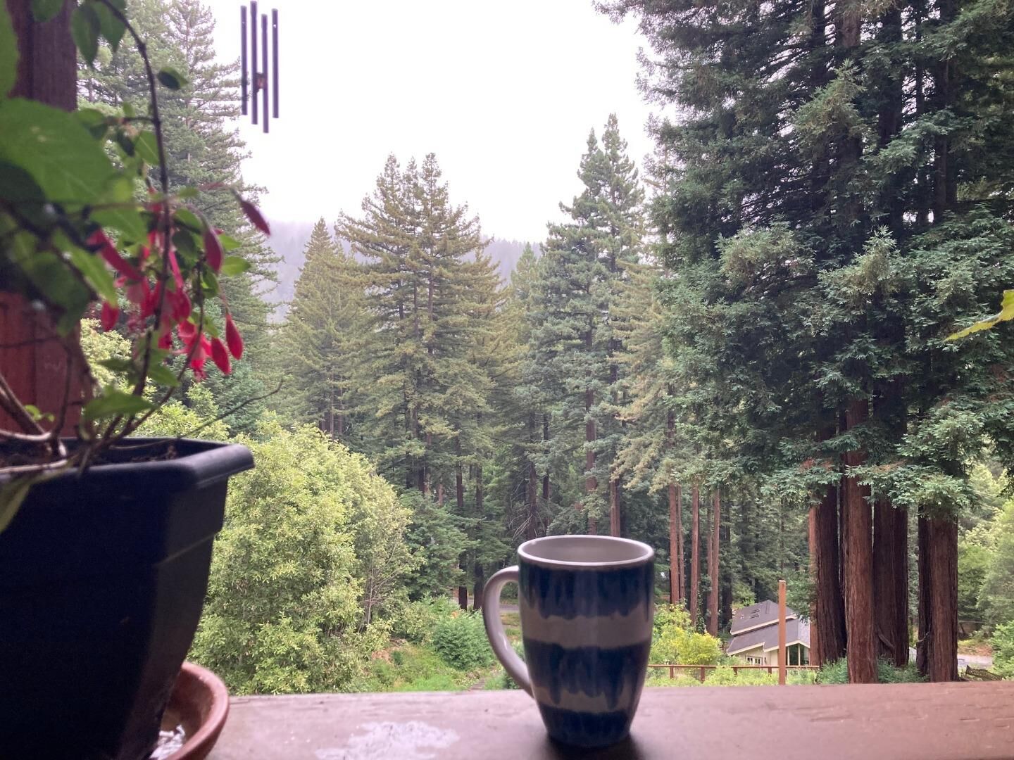 Property Photo:  1822 Early Drive  CA 95018 