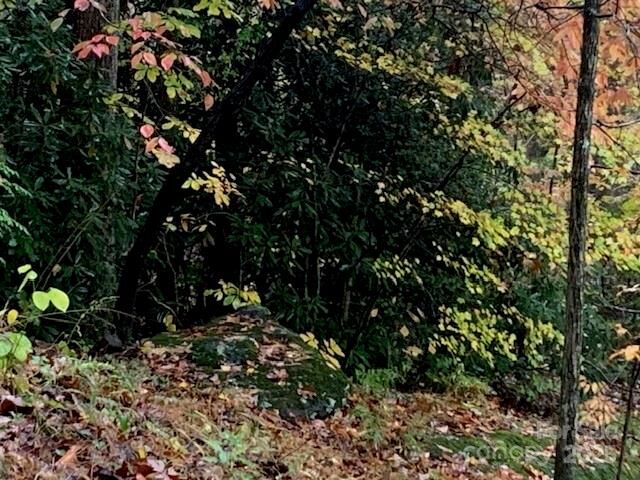 Property Photo:  Lot 149 Willow Bend 149  NC 28792