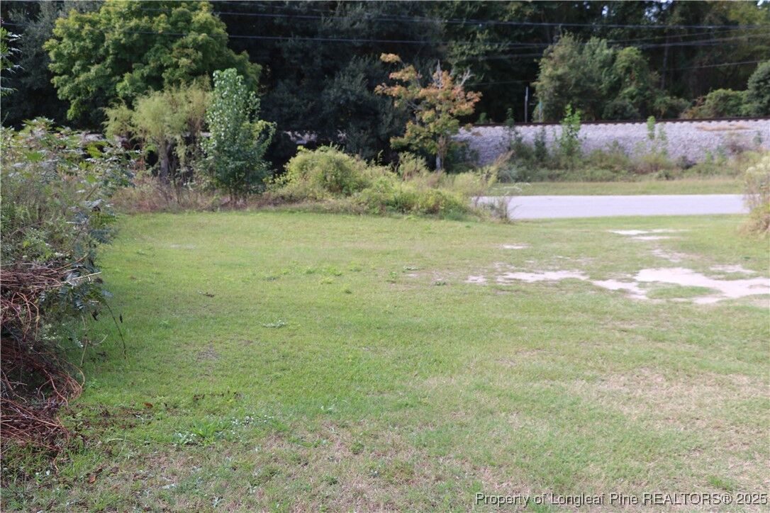 Property Photo:  W 2nd Street  NC 28358 