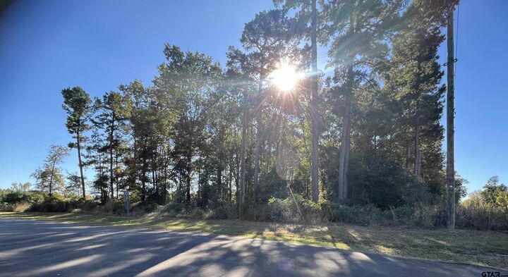 Property Photo: Tbd Cr 3490 TX 75765