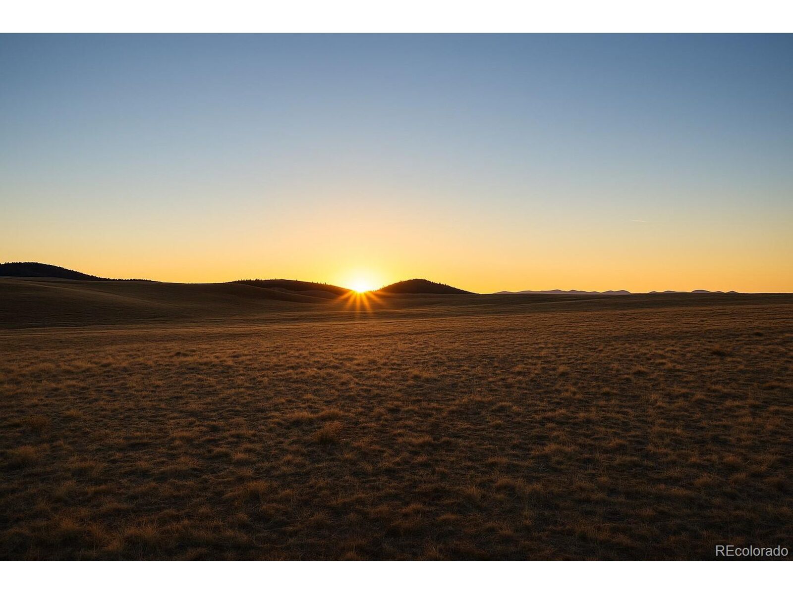 Property Photo: 417 Andesite Way CO 80449