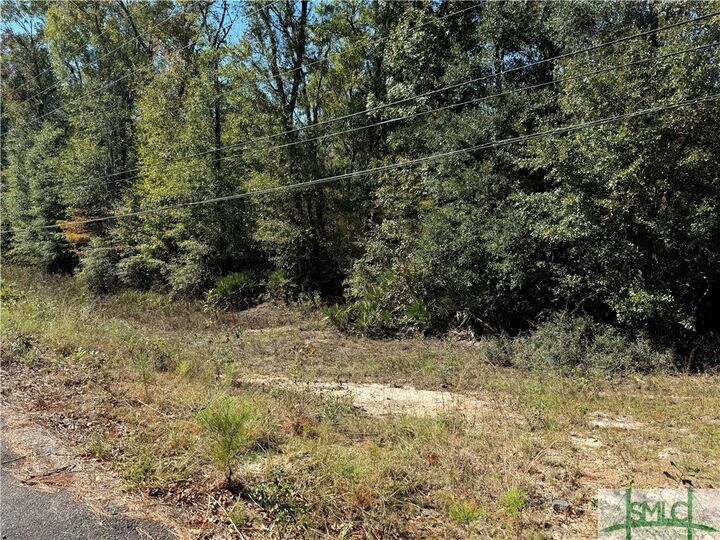 Property Photo:  260 Old Highway 204 Road  GA 31302 