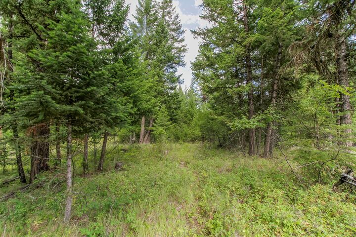 301 Haskill Ranch Road  Kila MT 59920 photo