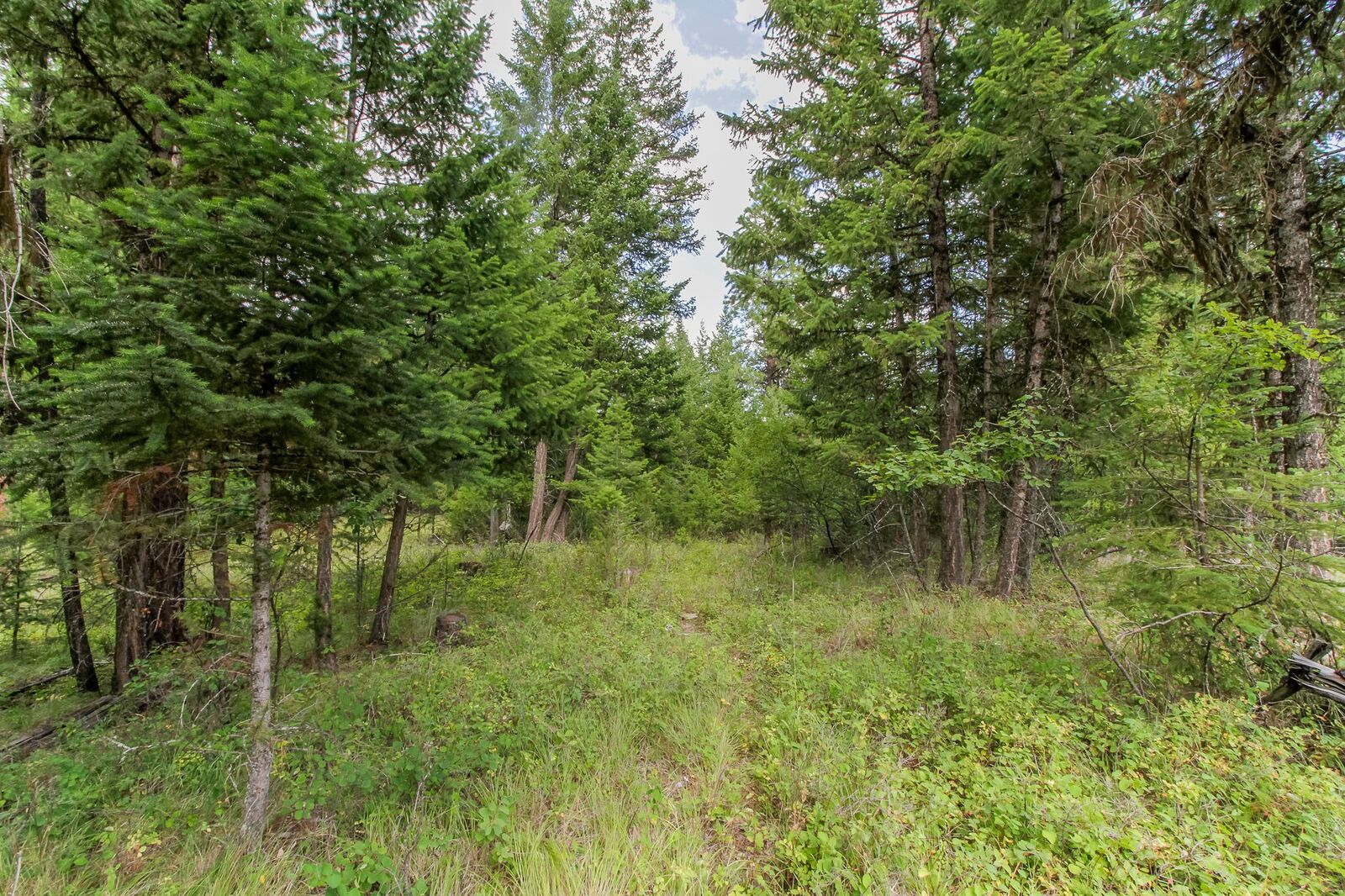 Property Photo: 301 Haskill Ranch Road MT 59920