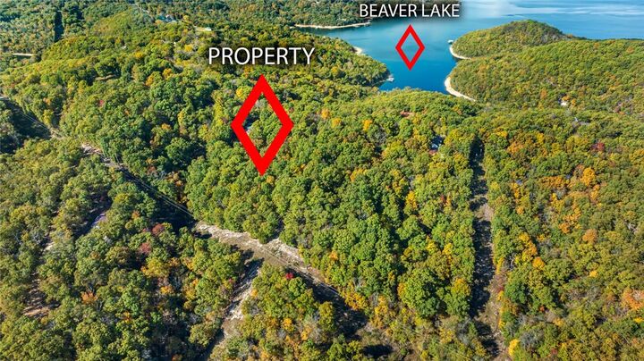 Property Photo:  Tract 1  1601 Mundell Road  AR 72631 
