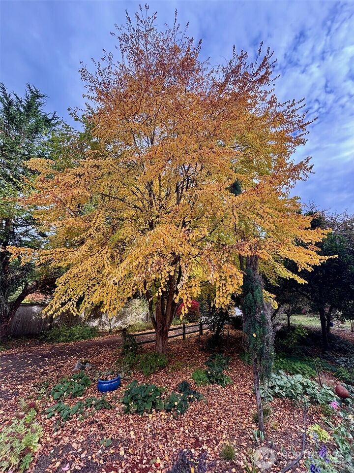 Property Photo:  23987  Johnson Road NW  WA 98370 