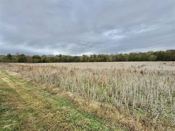 Property Photo: 401 Duncan Road KY 42122