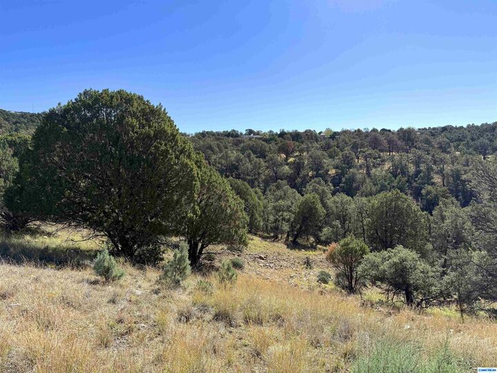 Property Photo: 3 Lots N Swan Street Lots 72, 73, 74 NM 88061