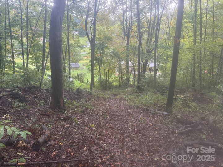 Property Photo:  99999 Dix Creek No 1 Road  NC 28748 