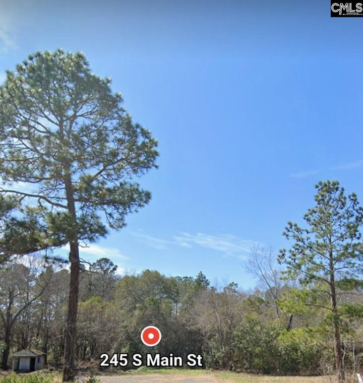 Property Photo: 245 South Main Lot A SC 29053