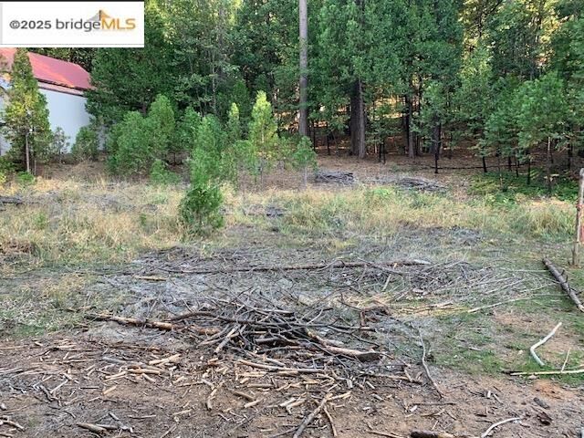 Property Photo:  22975 Twain Harte Dr  CA 95383 