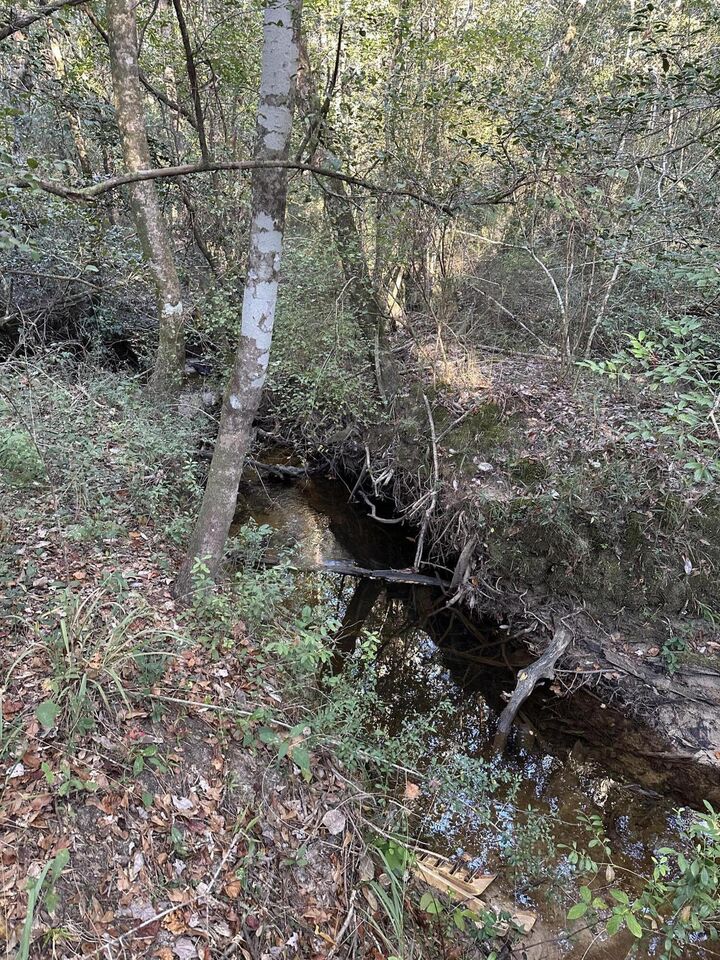 Property Photo: 20.25 Strickland Road FL 32435