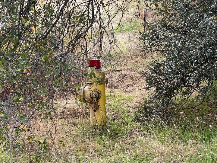 Property Photo: 1 Hangtree Court CA 93644