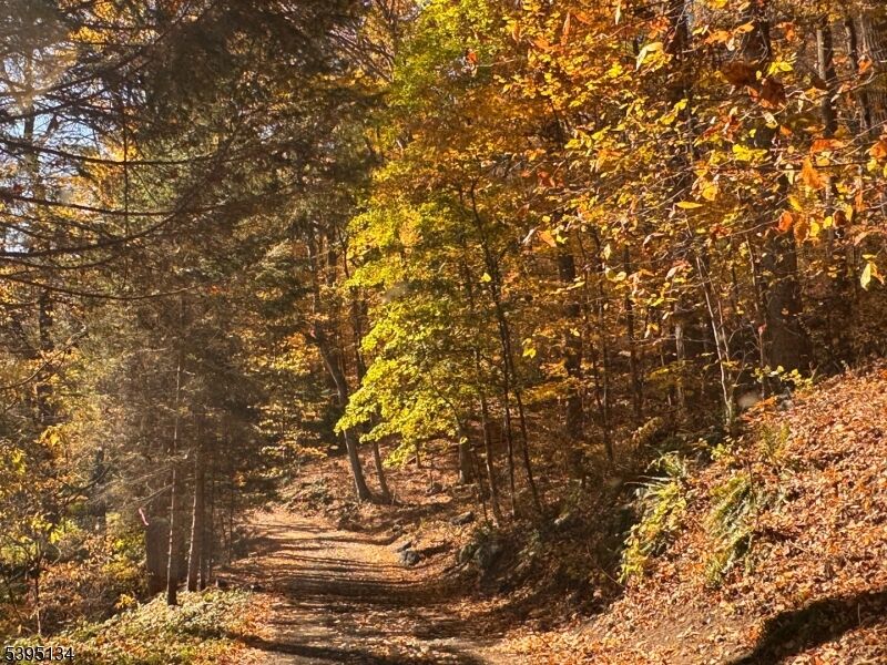 Property Photo:  3 Rock N Wood  NJ 07823