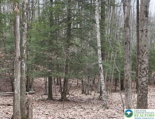 Property Photo: 153 Pine Tree Drive PA 18326