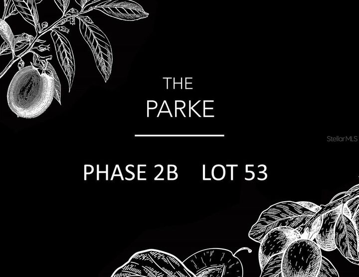 5486 SW 125th Circle  Archer FL 32618 photo