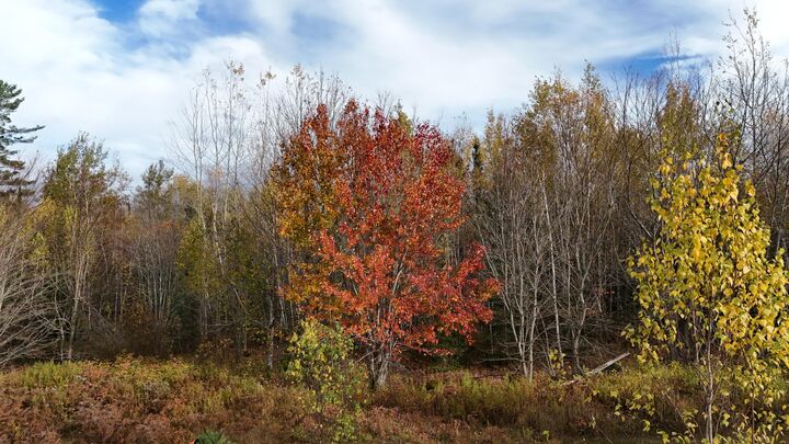 Property Photo: 00 Babcock Road ME 04444