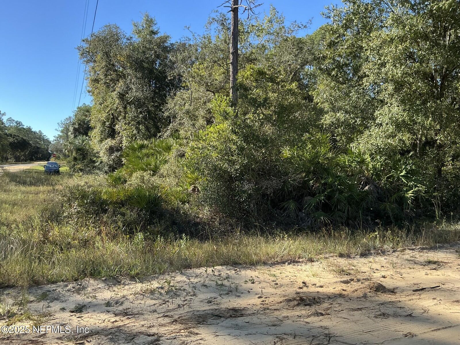 Property Photo:  205 Dunaway Street  FL 32148 