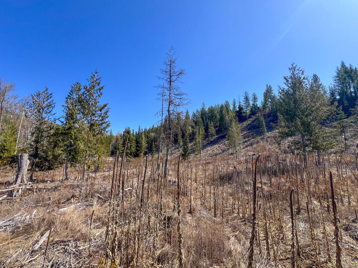 Property Photo:  26xx Flowery Trail Rd  WA 99109 