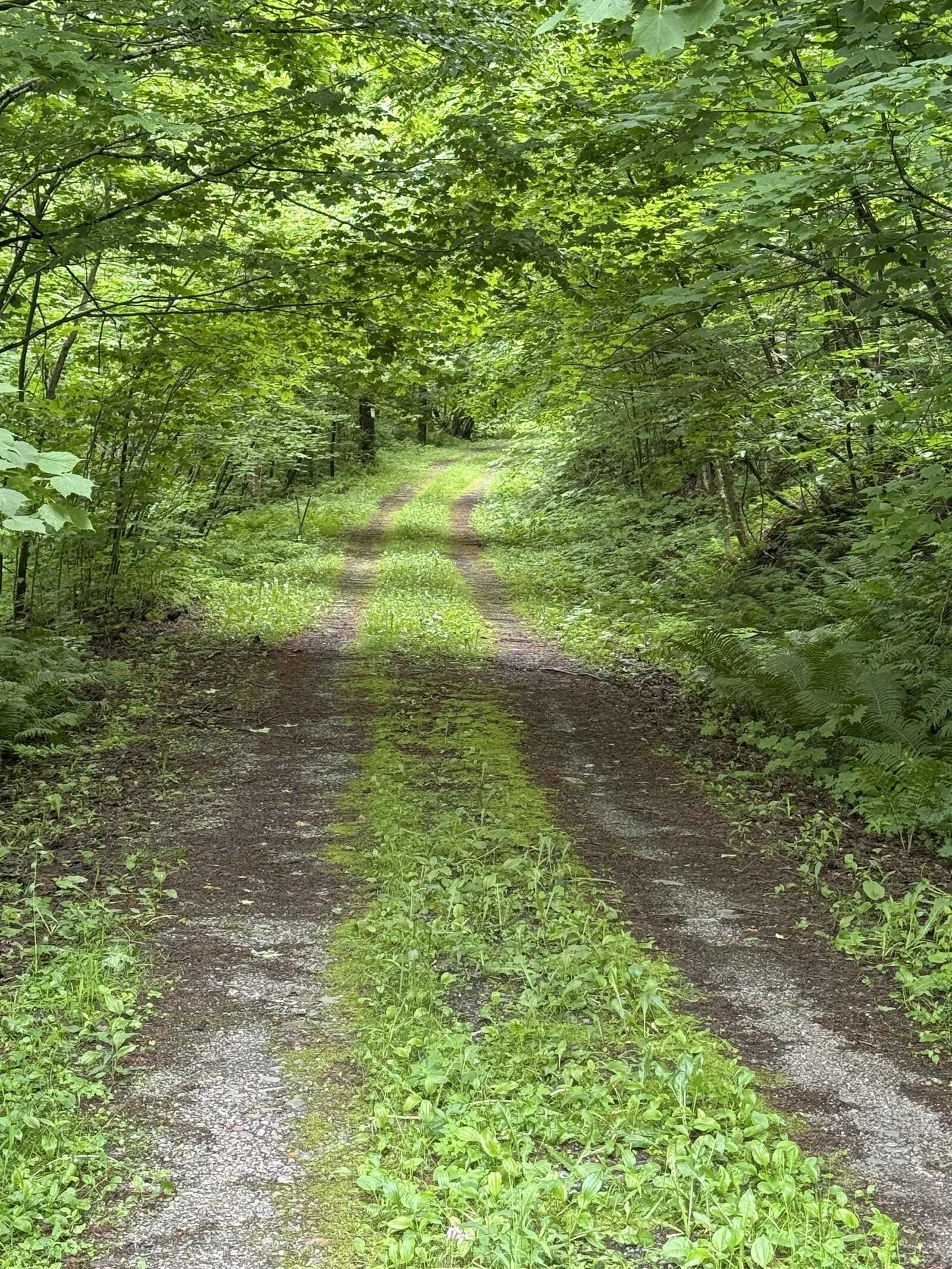 Property Photo: 680 Deming Road VT 05450