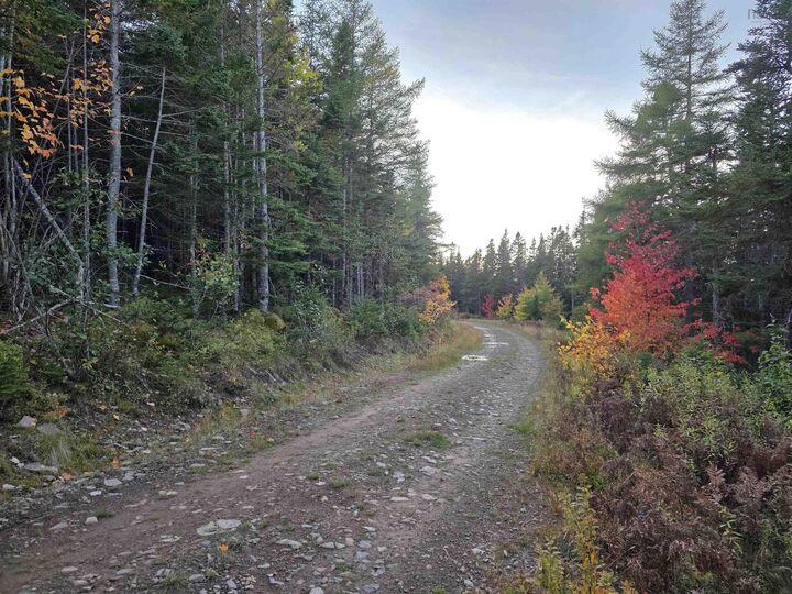 Property Photo:  Land 104 Highway  NS B0E 2X0 