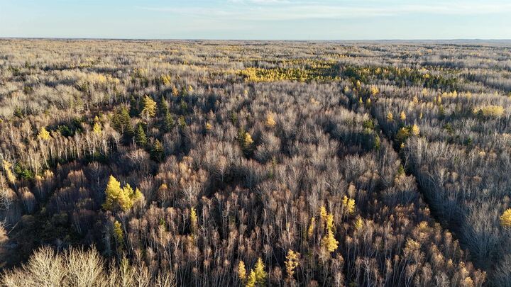 Photo de la propriété:  Deblois Road  PE C0B 2B0 