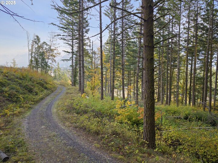 Property Photo: Warren Rd 4 WA 98639