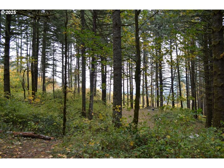 Property Photo: Warren Rd 3 WA 98639