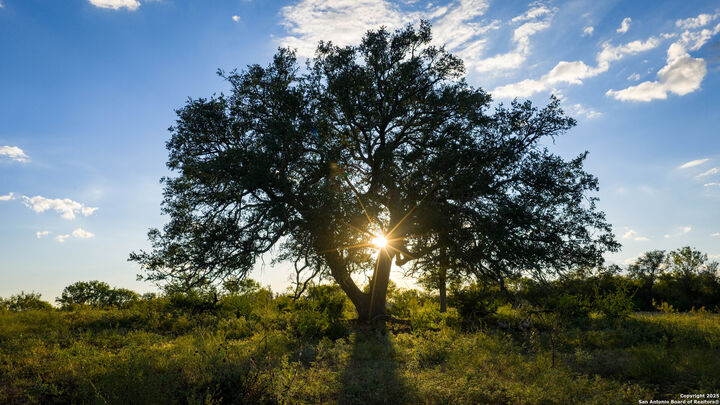 Property Photo: 4350 Fm 1339 TX 78638