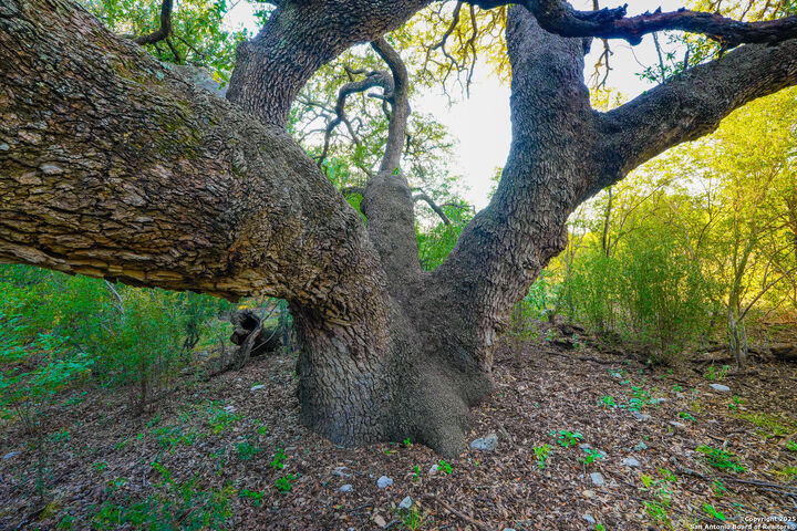 Property Photo: 1134 Sd # 45400 TX 78880