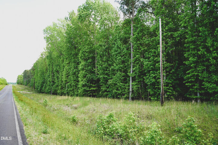 Property Photo: Lot 3 Arthur Wilder Road NC 27882