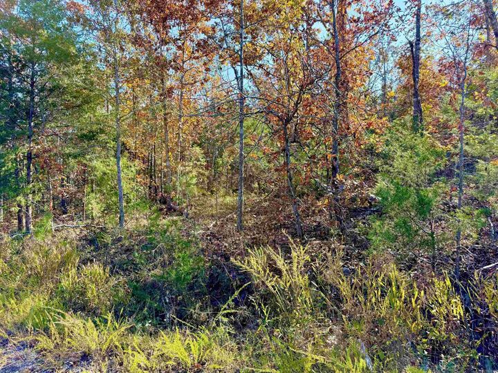 Property Photo:  010-01589-000 Canmore Drive  AR 72653 