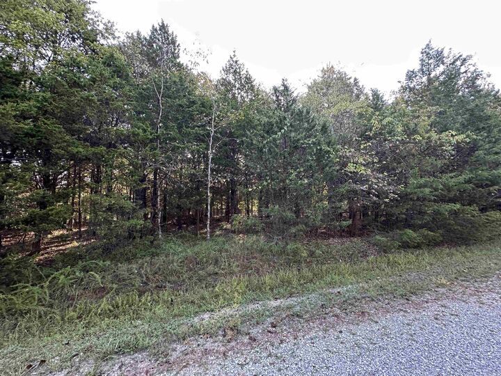 Property Photo: 001 Hand Cove Road AR 72531