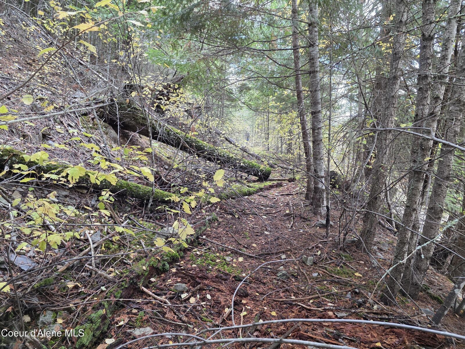 Property Photo:  10755 Old River Rd  ID 83839 