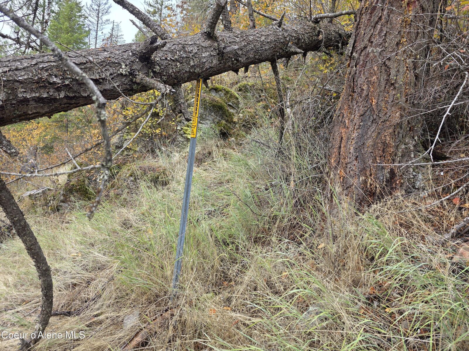 Property Photo: 10755 Old River Rd ID 83839